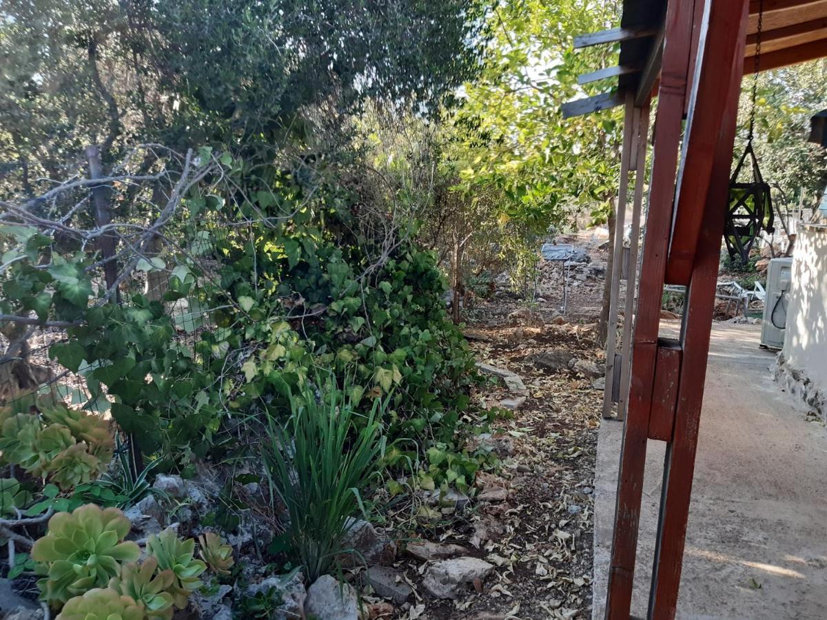 בקתת עץ בחורש במנות - דום גיאודזי - Wooden Cabin In Manot Exterior photo